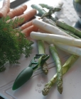 Eplucheur à asperges ELIOS