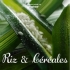 Riz et céréales Riz et céréales