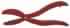 Pince coupe marrons Pince coupe marrons