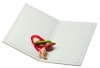 Planche pliable pvc