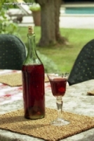 Recettes de cuisine : Vin d'orange