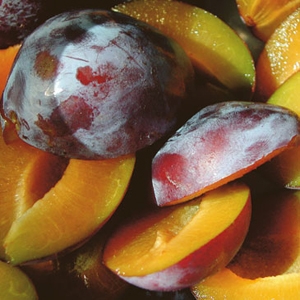 Dénoyauteur à prunes GEFU