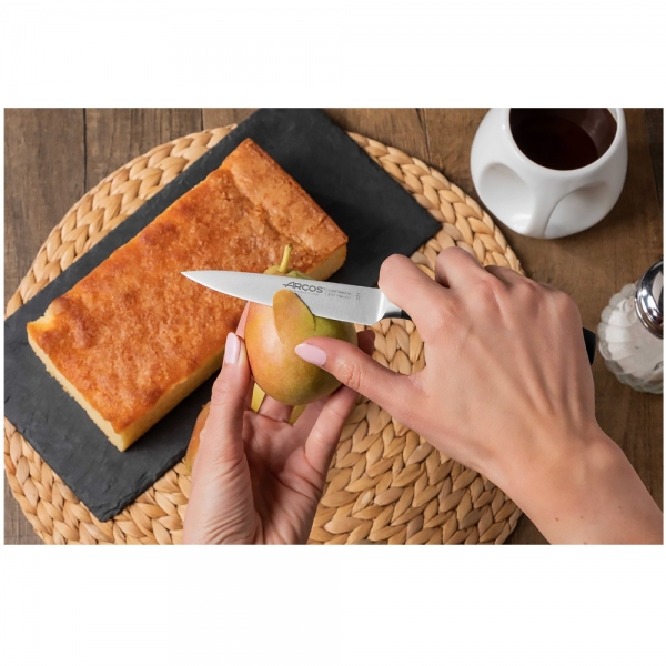 Bloc Couteaux 4 pcs + ciseaux Clara Arcos