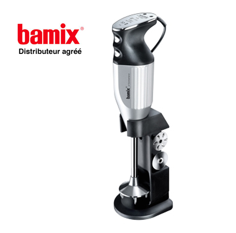 BAMIX M 160 DeLuxe Argent