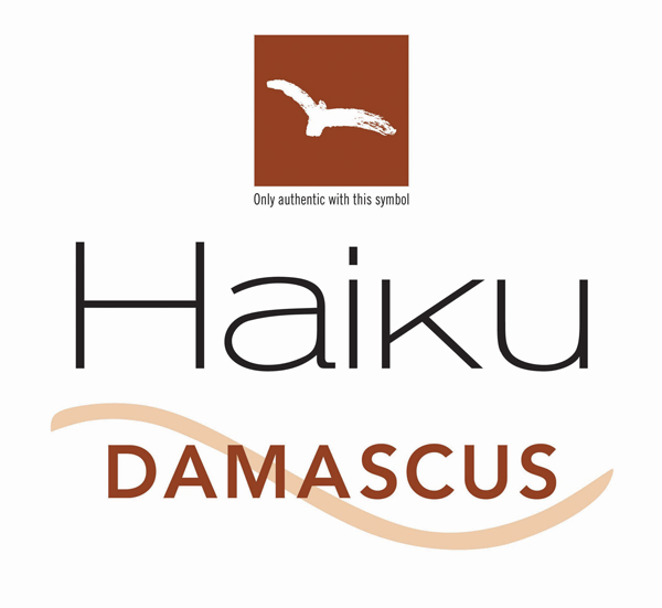 Couteau japonais office 8 cm Haiku Damas Chroma