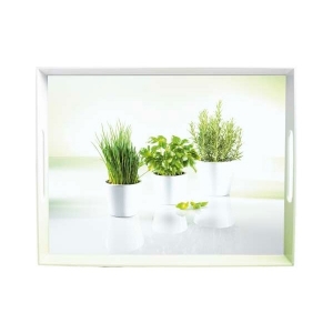 140x140 - Plateau de service Emsa décor 
