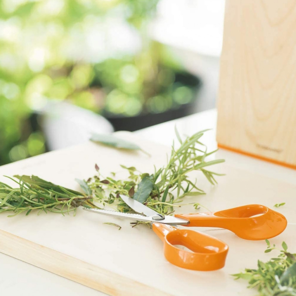 Ciseaux de Cuisine Fiskars