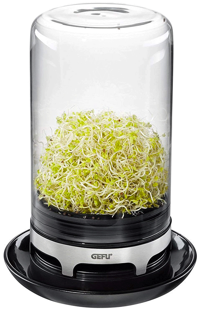 Germoir à Graines Bivita GEFU