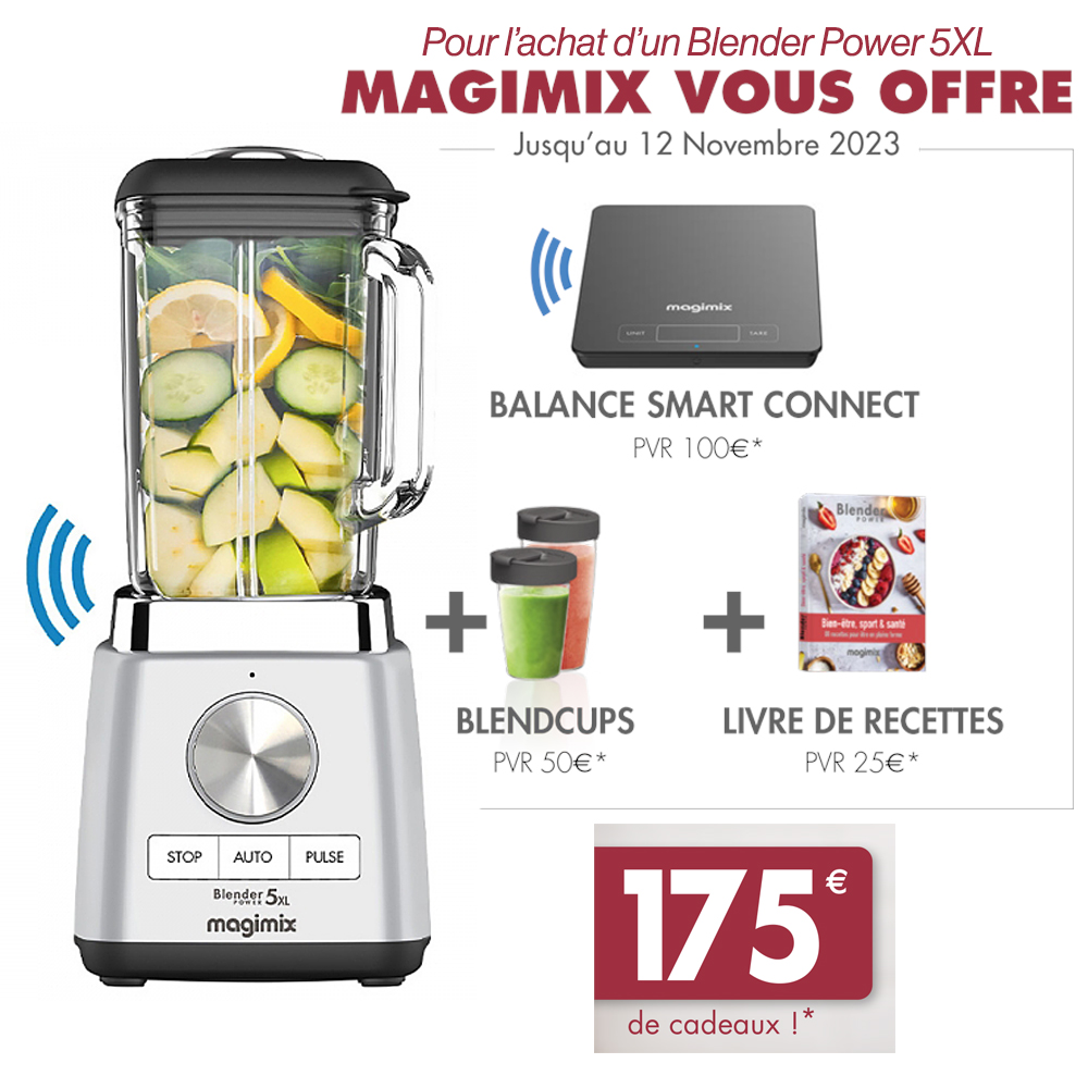 Blender Power 5XL Magimix