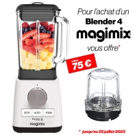 Blender Power 4 Magimix