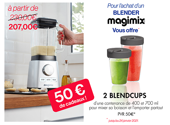 Power Blender Magimix