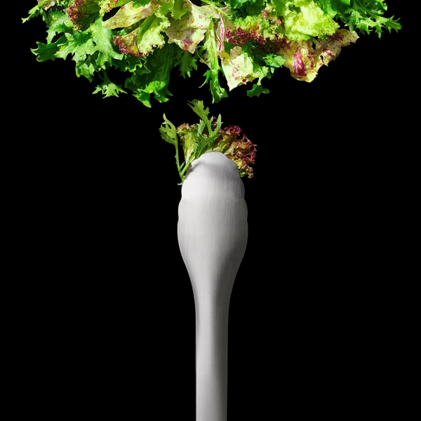 Pince de Service et salade Inox Oxo