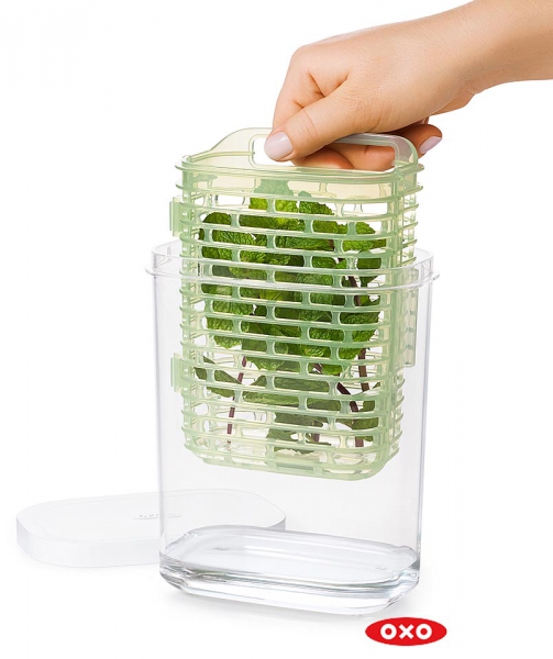 Boîte de Conservation Herbes Aromatiques Greensaver Oxo