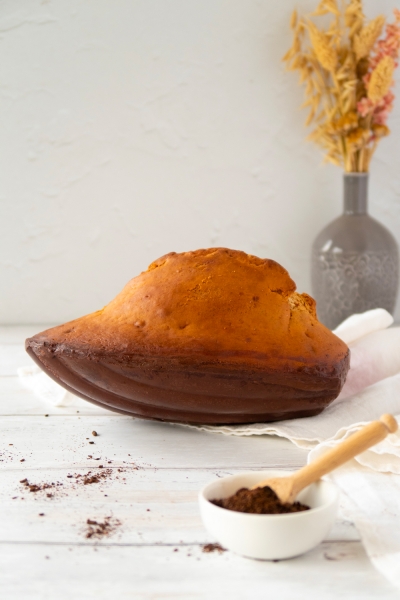 Moule à madeleine XL Patisse