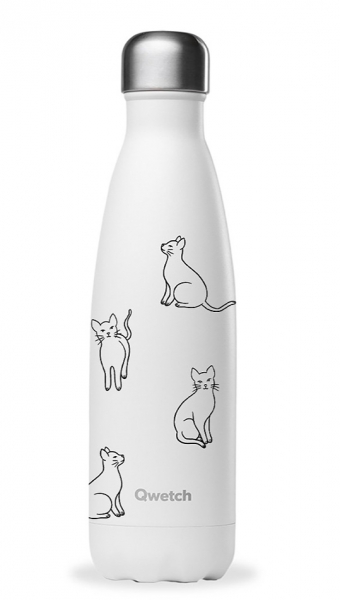 Bouteille isotherme pretty cats Qwetch