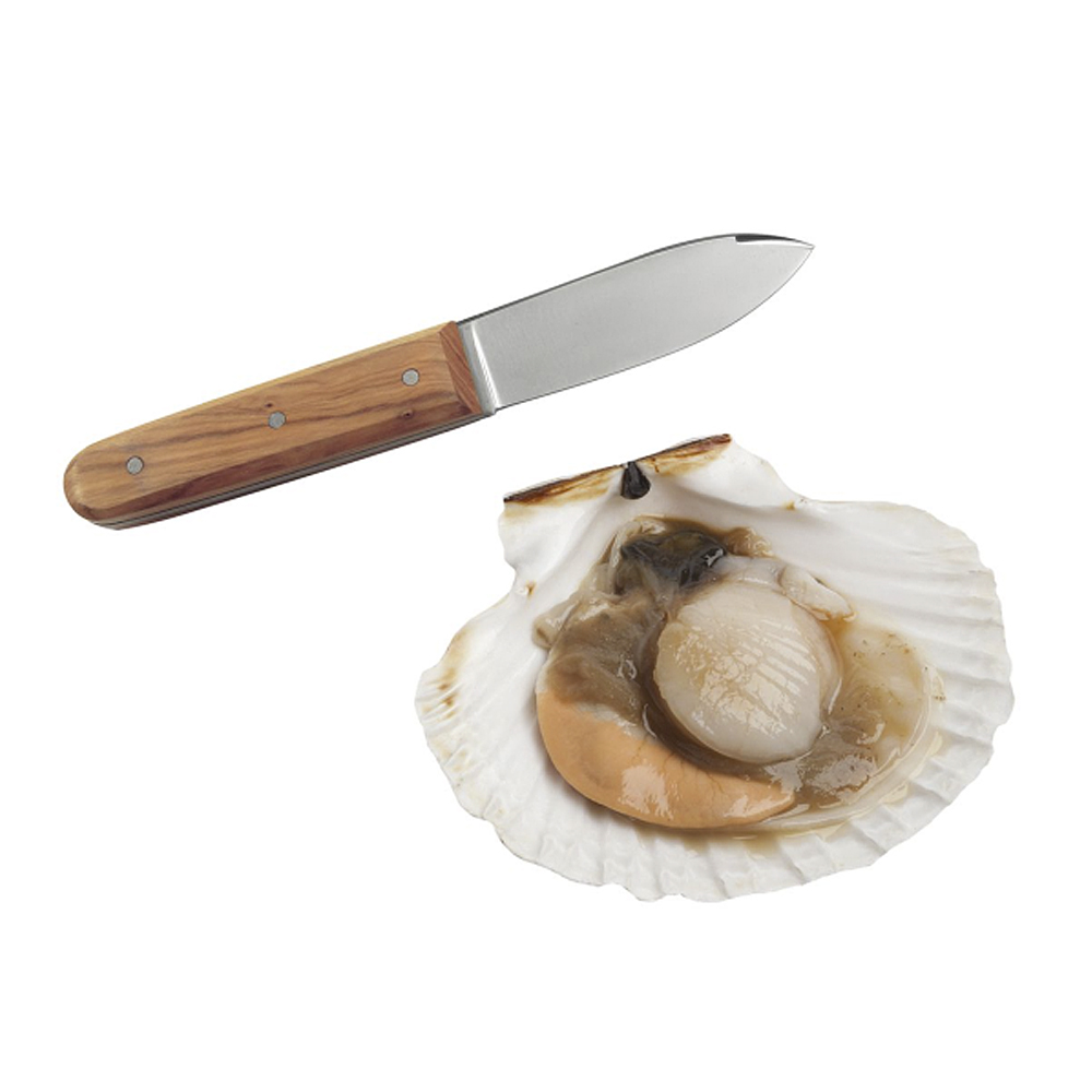 Petit couteau à huître avec un manche en coquilles Saint Jacques recyclées