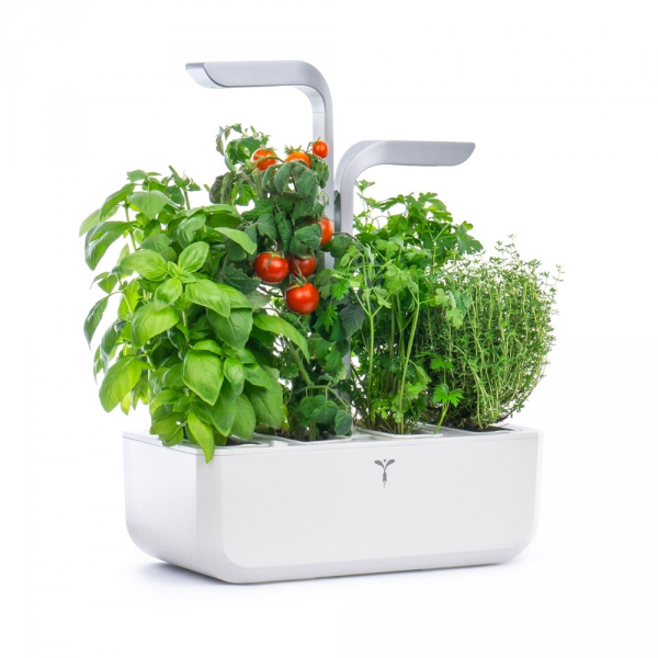 Potager d'intérieur Véritable Classic