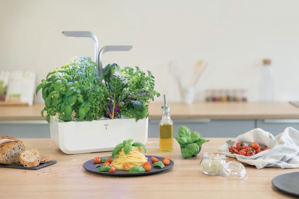 Potager d'intérieur Véritable Smart Edition