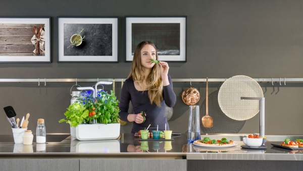 Potager d'intérieur Véritable Smart Edition