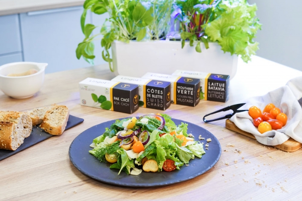 Potager d'intérieur Véritable Smart Edition